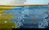 A vast wetlands to explore