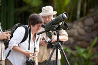 A group of birdwatchers at Selva Verde Lodge focus binoculars and telescopes into the rainforest canopy, immersed in Costa Rica's rich tropical biodiversity. 