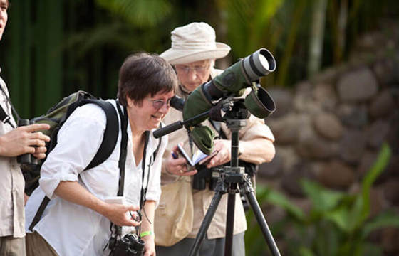 A group of birdwatchers at Selva Verde Lodge focus binoculars and telescopes into the rainforest canopy, immersed in Costa Rica's rich tropical biodiversity. 