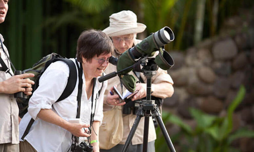 A group of birdwatchers at Selva Verde Lodge focus binoculars and telescopes into the rainforest canopy, immersed in Costa Rica's rich tropical biodiversity. 