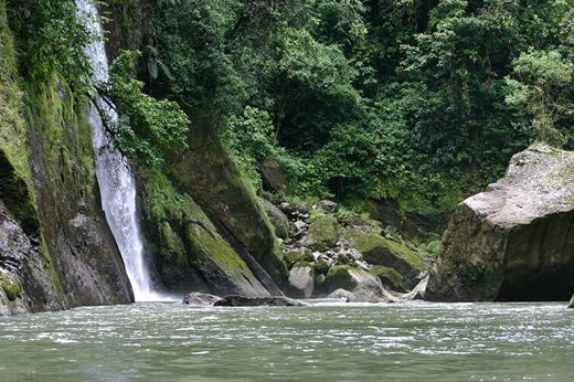 The Sarapiqui River 