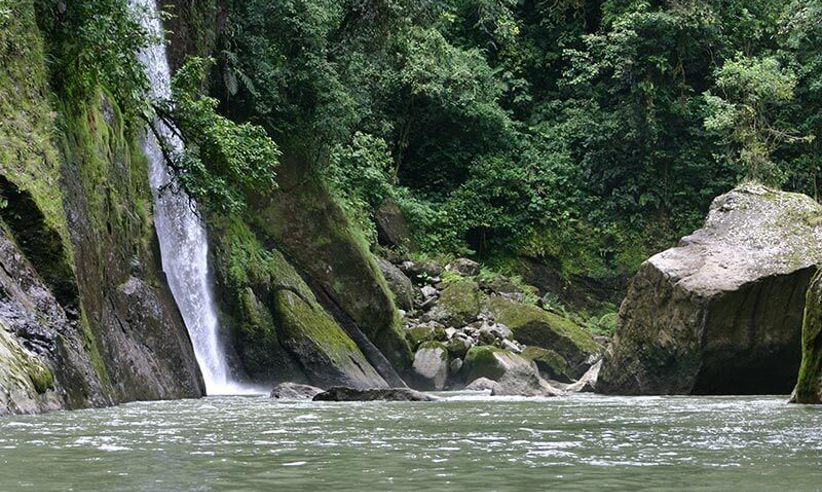 The Sarapiqui River 