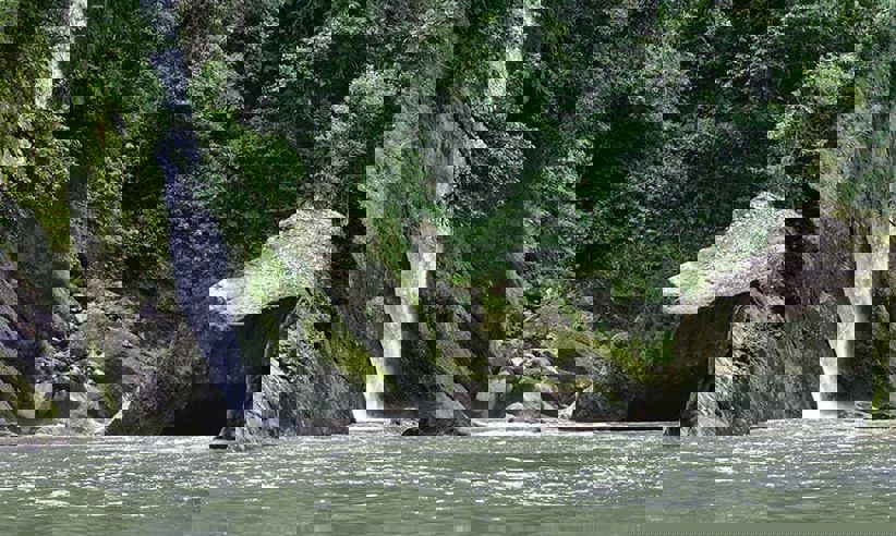 The Sarapiqui River 