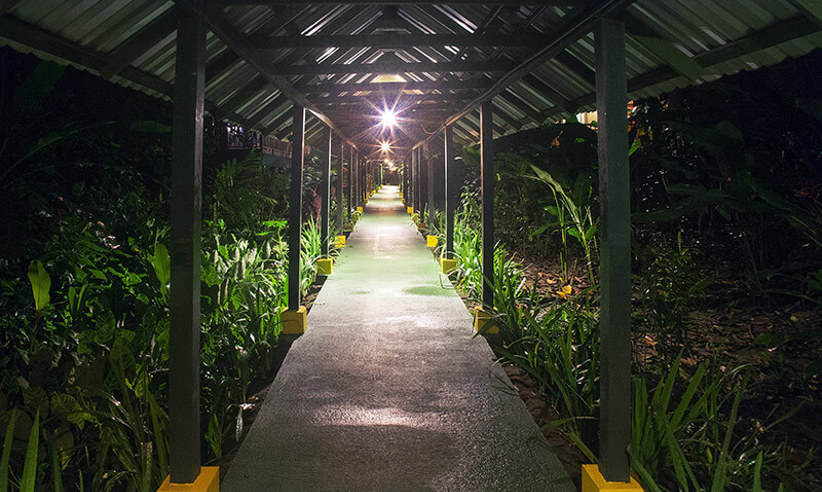 The walkways at night 