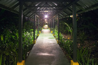 The walkways at night