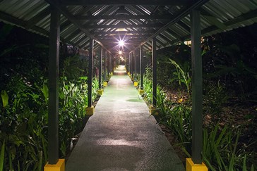 The walkways at night 