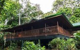 Selva Verde Lodge 