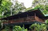 Selva Verde Lodge 