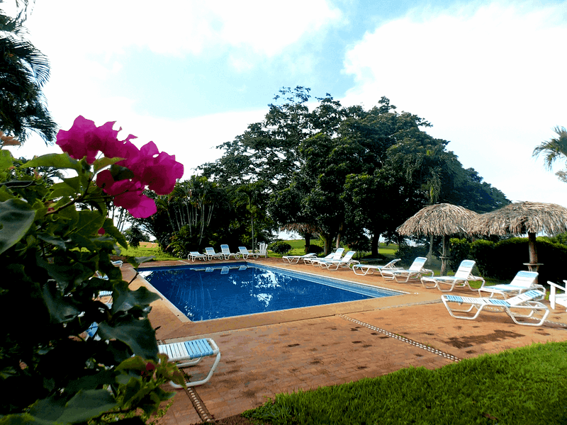The pool