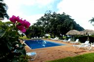 The pool