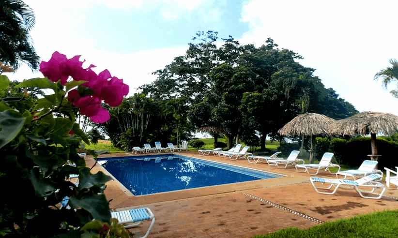 The pool