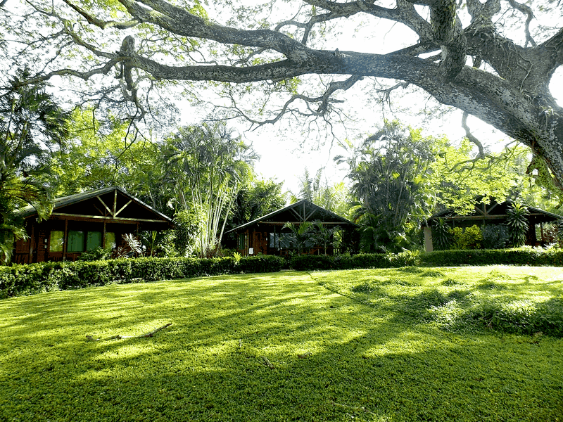 Lovely gardens 