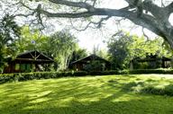 Lovely gardens 