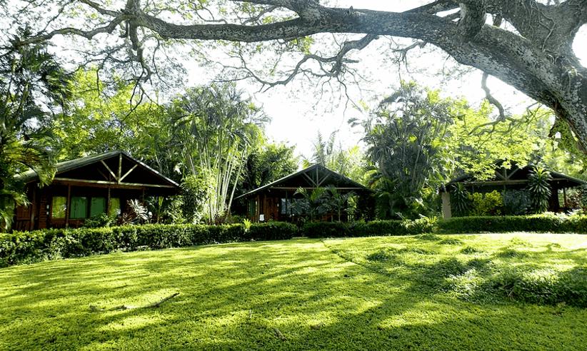 Lovely gardens 