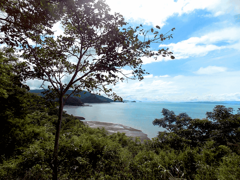 Beautiful sea views 