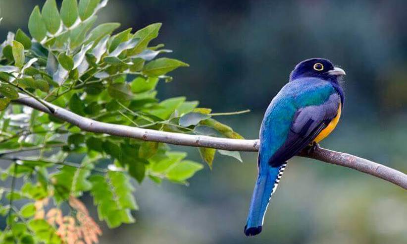 A birdwatchers dream location 