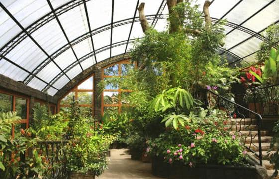 A lush butterfly garden enclosed in a glass dome, filled with vibrant tropical plants and fluttering butterflies in Costa Rica's Central Valley.  