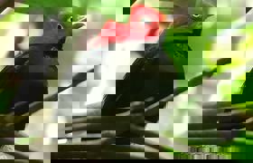 IMG 20200103 WA0039