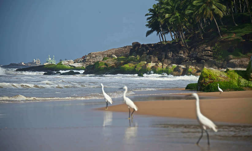 A quiet beach awaits