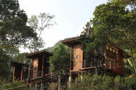 Mountain view cottages 