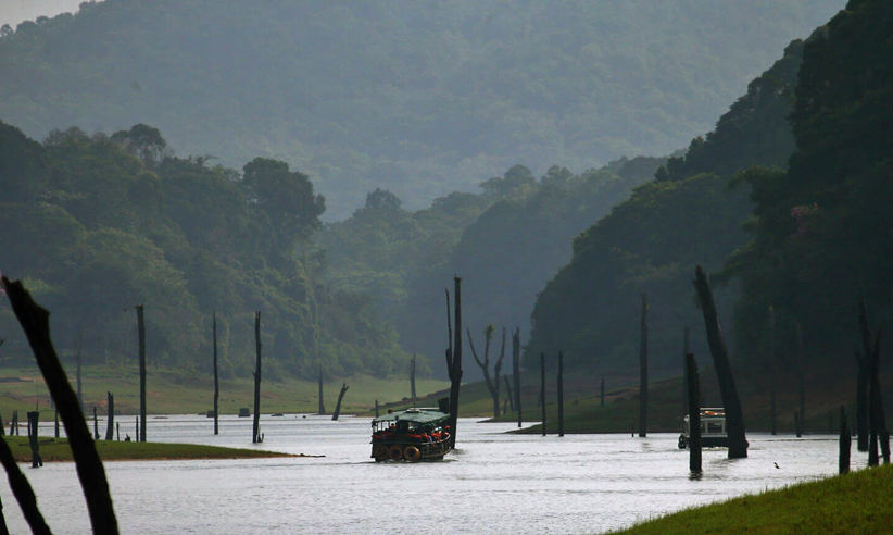 Periyar boat trip