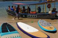 Paddleboards