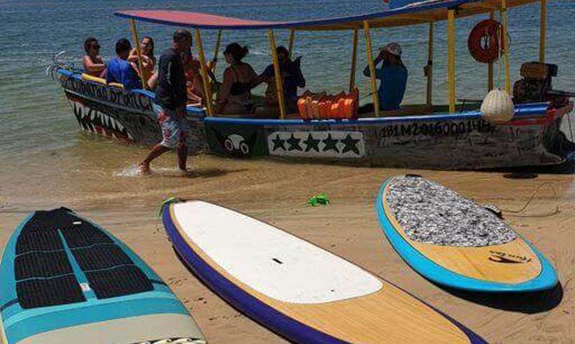 Paddleboards