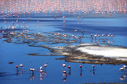 Altiplano Lagoon 