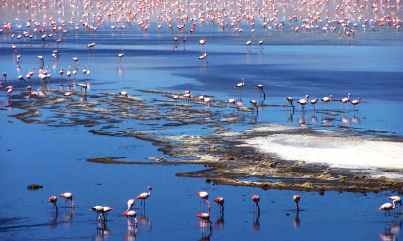 Altiplano Lagoon 