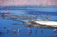 Altiplano Lagoon