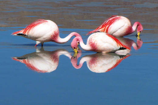 Discover exotic birdlife