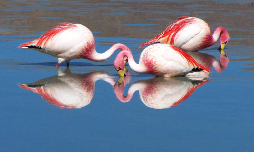 Discover exotic birdlife
