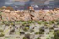 Amazing landscapes