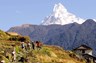 Trekking in the Annapurna Mountains