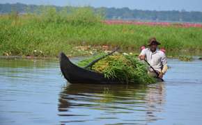 Life On The Backwaters (12)