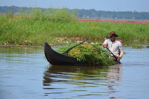 Life On The Backwaters (12)