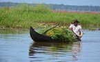Life On The Backwaters (12)