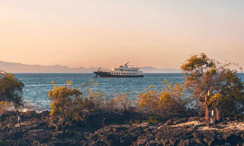 More time ashore 