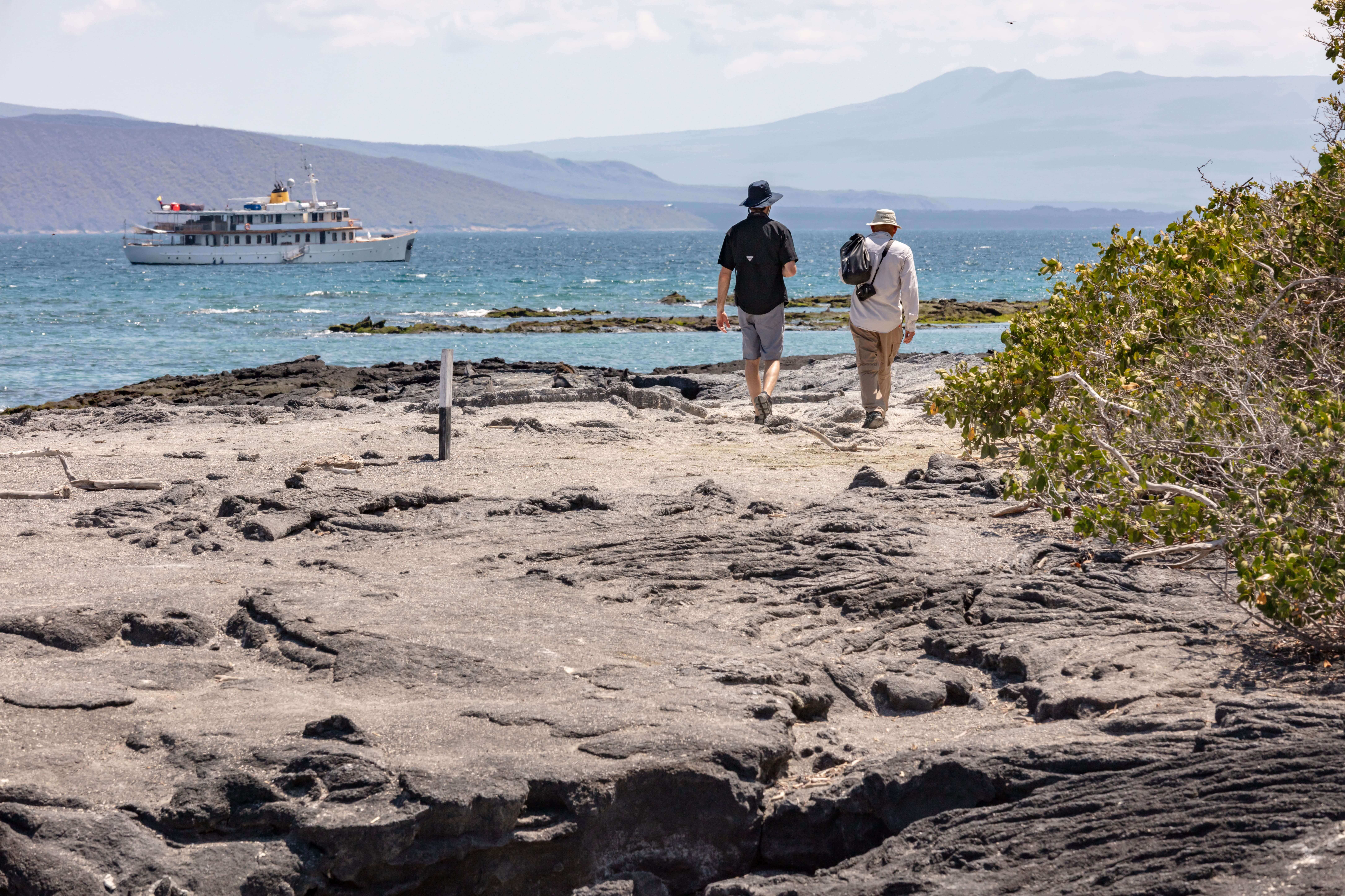 Enjoy daily excursions ashore 