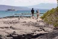 Enjoy daily excursions ashore 