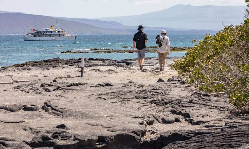 Enjoy daily excursions ashore 