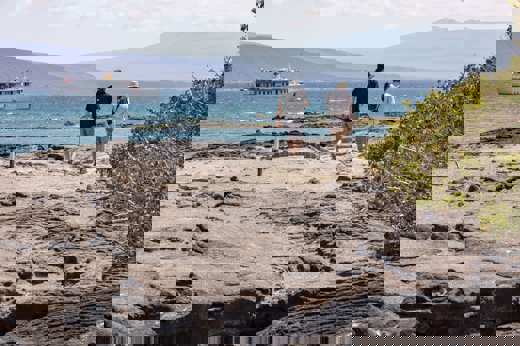 Enjoy daily excursions ashore 