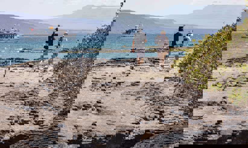 Enjoy daily excursions ashore 