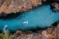 Swimming in the Galapagos