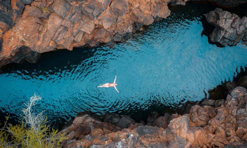Swimming in the Galapagos