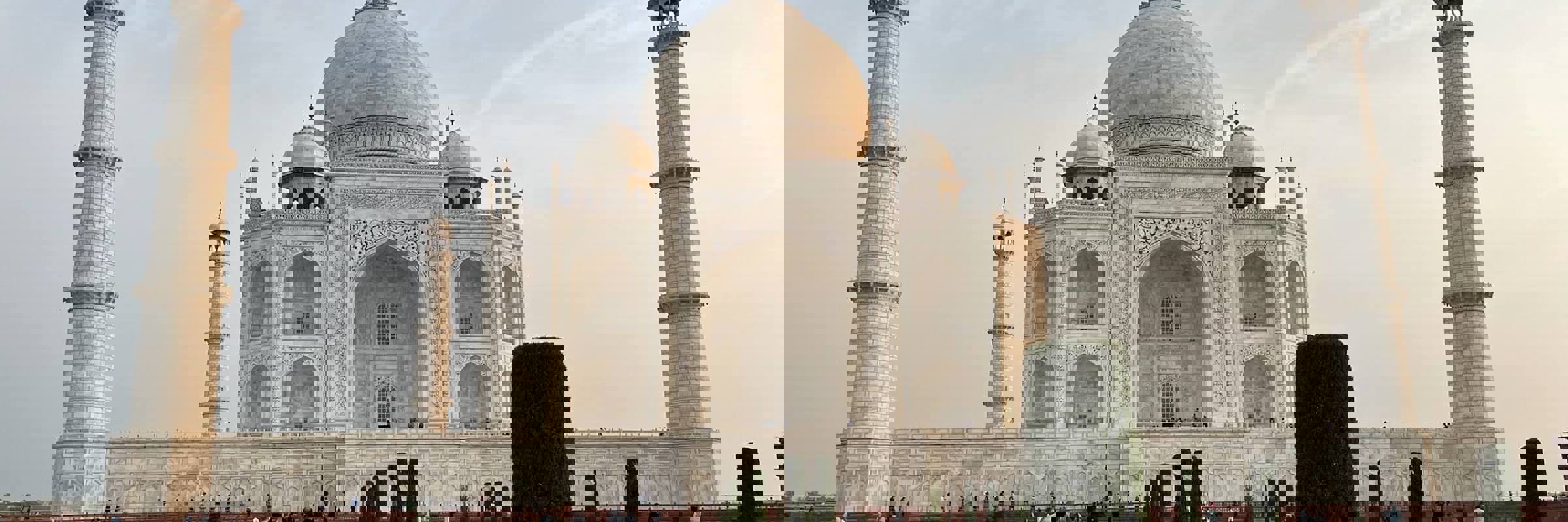 Taj Phoebe