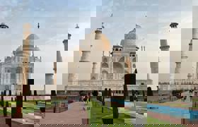 Taj Phoebe