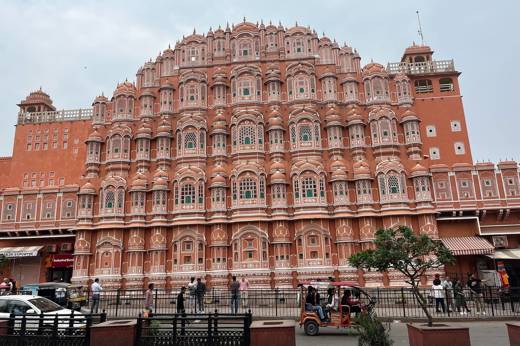 Jaipur Phoebe