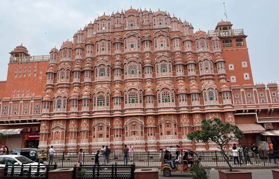 Jaipur Phoebe