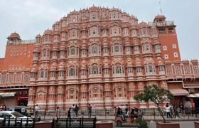 Jaipur Phoebe